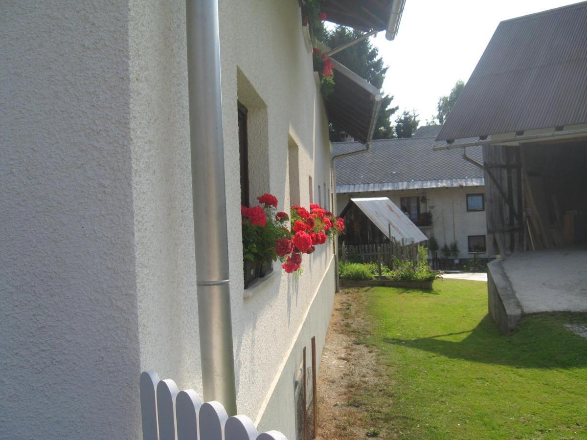 Apartma Tilika Kranjska Gora Bagian luar foto
